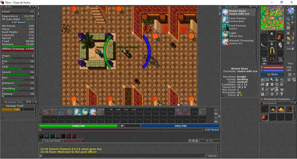 Print com um Knight dentro do Tibia
